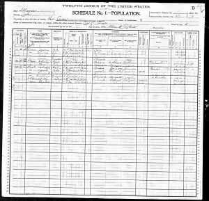 1900 Census Marks family