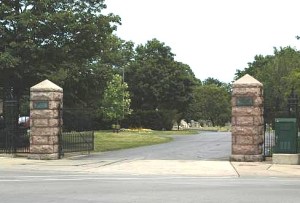 Graceland by David M. Habben