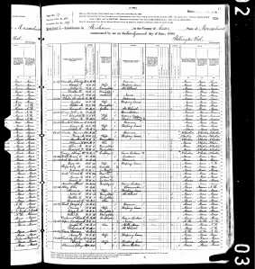 1880UnitedStatesFederalCensus_281363610