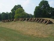 Forest Home by Denise T