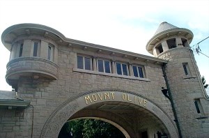 Mount Olive Cemetery by David M. Habben