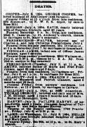 Chicago Daily News July 5, 1894
