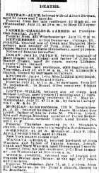 Chicago Daily News July 10, 1894 pg 5