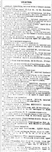 Chicago Daily News April 9, 1891 page 5