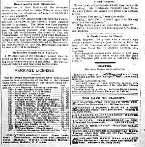 Chicago Daily News September 25, 1894 page 2