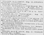 Chicago Daily News September 3, 1889 