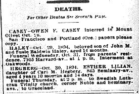 Chicago Daily News October 30, 1894 page 2