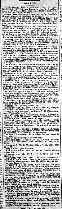 Chicago Daily News October 30, 1894 page 7