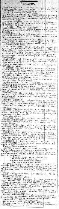 Chicago Daily News November 20, 1894 page 7