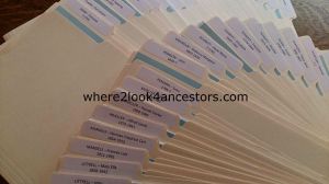 They look so pretty when they're new