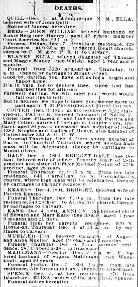 Chicago Daily News December 5, 1894 pg 13