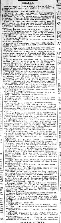 Chicago Daily News December 20, 1894 pg 7