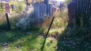 Where's the rest of the fence?