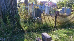 What if these were your ancestors?