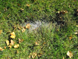Headstone at Oak Woods in Section F Division 5