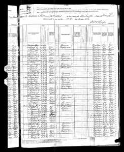 1880 US Census MD Clark, Morgan Henry