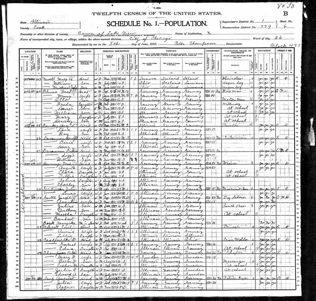 1900 US Census IL Thompson, Peter and Maria nee Peterson