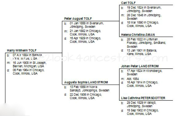 2015 01-21 Tolf Landstrom tree snip WM