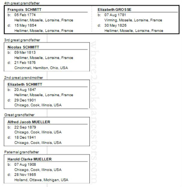2015 02-05 Schmitt, Francois relationship chart WM