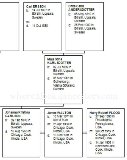 2015 02-09 Johanna Carlson tree WM