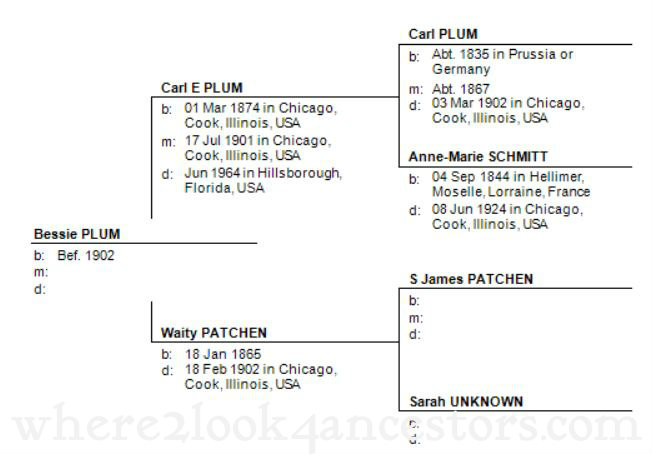 2015 02-18 Plum, Waity pedigree chart wm