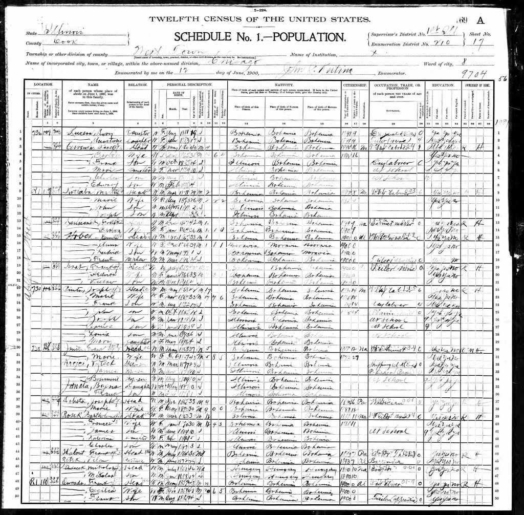 Year: 1900; Census Place: Chicago Ward 8, Cook, Illinois; Roll: 253; Page: 17A; Enumeration District: 0210; FHL microfilm: 1240253