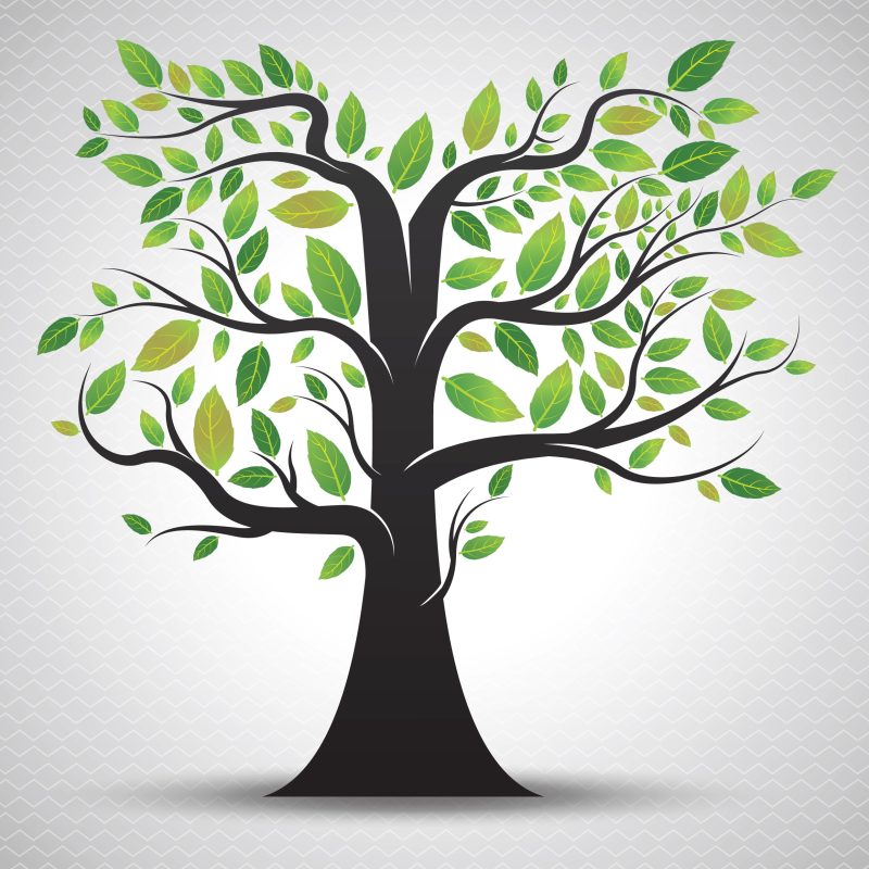 Trimming the Family Tree